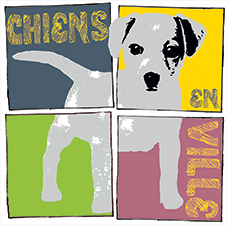 logo_chiensenville