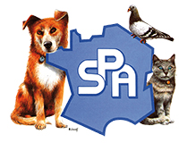 Logo SPA