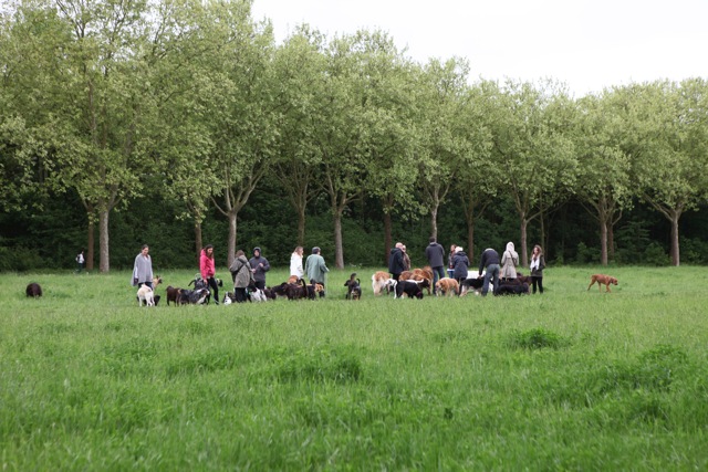 Promenons nous dans les bois