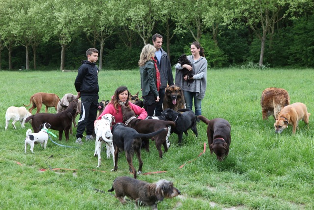 Promenons nous dans les bois