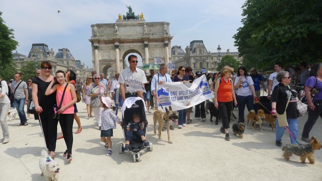 Rassemblement Cani-Citoyen du 8 juin à Paris