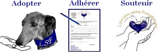 Adopter, Adhérer, Soutenir