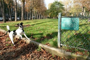 Mercure au Parc