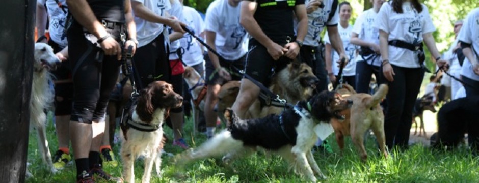 La course contre l'abandon