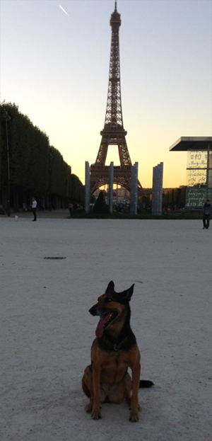 Iena---Tour-Eiffel