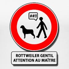Rottweiler gentil, attention au maître