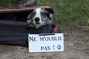 ne_moublie_pas