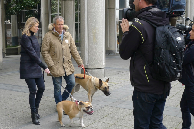 Tournage les animaux de la 8