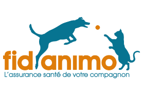 logo-fidanimo