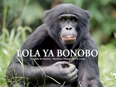 livre_lola-ya-bonobo