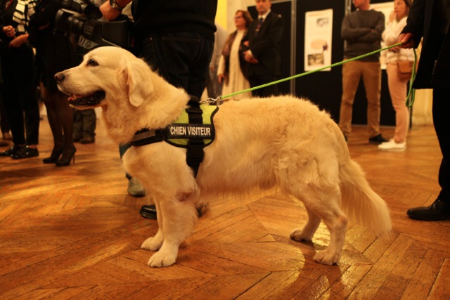 chien enfant1